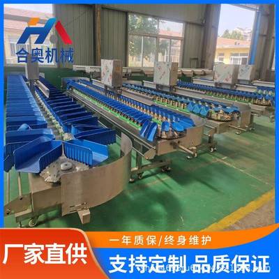 小龙虾海参多级分拣机白条鸡鸭重量分级机牡蛎扇贝称重分选设备