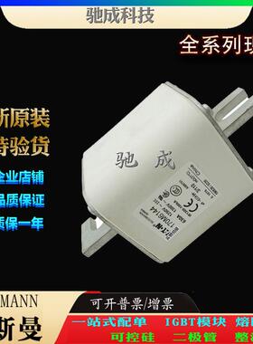 巴斯曼170M6143 170M6144 170M6145 销售供应零售 低压保险丝