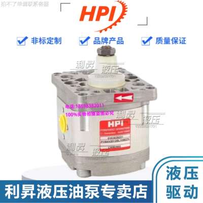 法国HPI液压齿轮泵P0BAN0025/0050/0075/0100/0125/0150/0200油泵