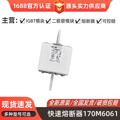 快速熔断器170M4146 170M4260 170M4115 规格齐全电子元器件