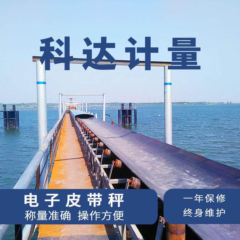 厂家现货智能皮带秤砂石煤粉矿石陶土沙土粮食高精度电子输送秤