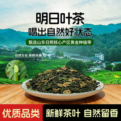 山东核心产区明日叶茶含查尔酮