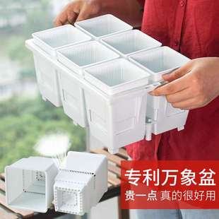 美莳控根高腰万象盆塑料加厚多肉十二卷带托花盆套装可自动存排水