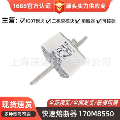 170M8550 170M8554D 快速熔断器 保险丝 电子元器件 量大价优