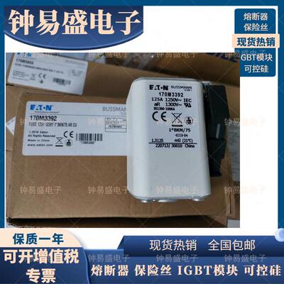 熔断器170M3392 170M3393巴斯曼Bussmann系列高速正方形保险丝