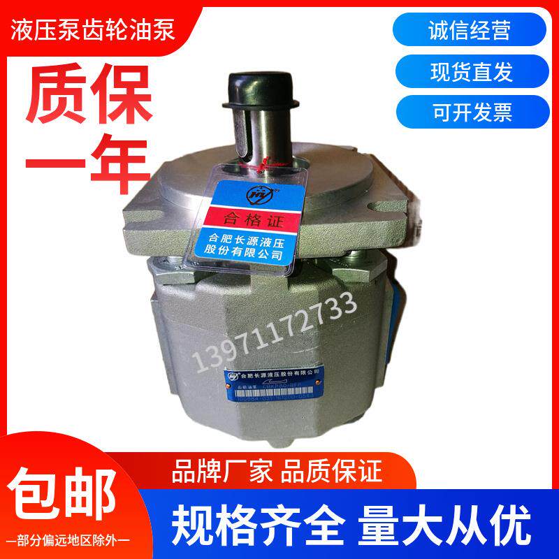 合肥长源液压齿轮油泵CBKP63-BFP/L液压泵CBKP80-BFH高压动力油泵