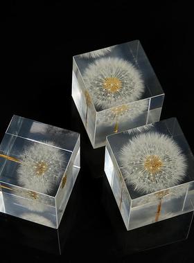 树脂镇纸蒲公英标本水晶球立方体树脂方块摆件儿童节创意手工产品
