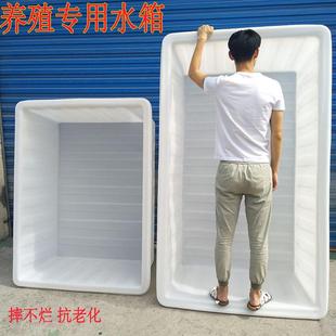 PE牛筋料养鱼箱塑料水箱水产养殖箱50 2000L加厚摔不烂方形周转箱