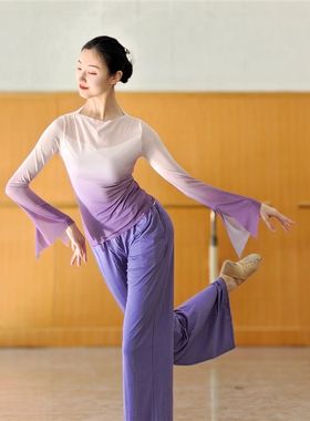 古典舞纱衣中国舞服装身韵形体服舞蹈上衣女款新款冬季舞蹈练功服