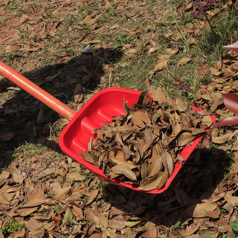 塑料铲子加厚塑料锹大号垃圾铲塑料锨 锹 钢化塑料铲子粮食铲雪铲,农机/农具/农膜,其它农用工具,淘宝优惠券,粉丝福利购,淘宝优惠卷