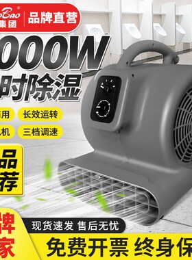 超宝吹风机CB-900N商用大功率干燥吹风机酒店地毯地板除湿吹干机
