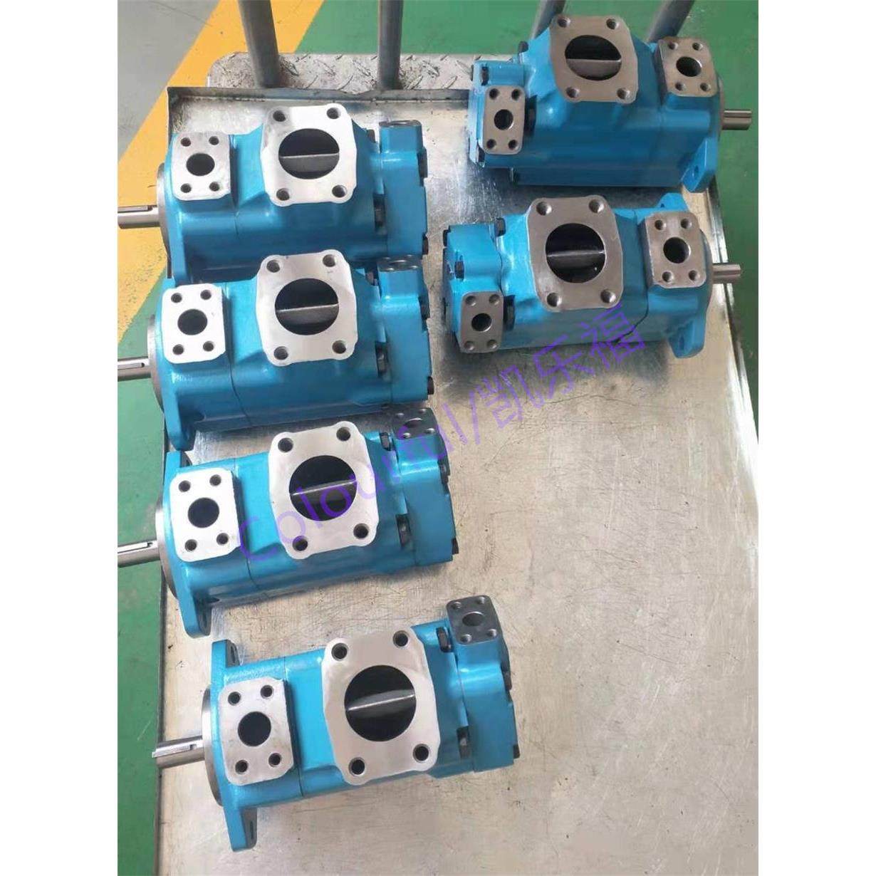 2520VQ19A9,2520VQ19A8双联叶片泵厂家 压铸机油泵 注塑机油泵,标准件/零部件/工业耗材,液压泵,淘宝优惠券,粉丝福利购,淘宝优惠卷