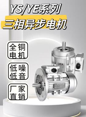 电机380V三相YS铝壳 1400转90W120w180W250W370W750WKW电动机马达