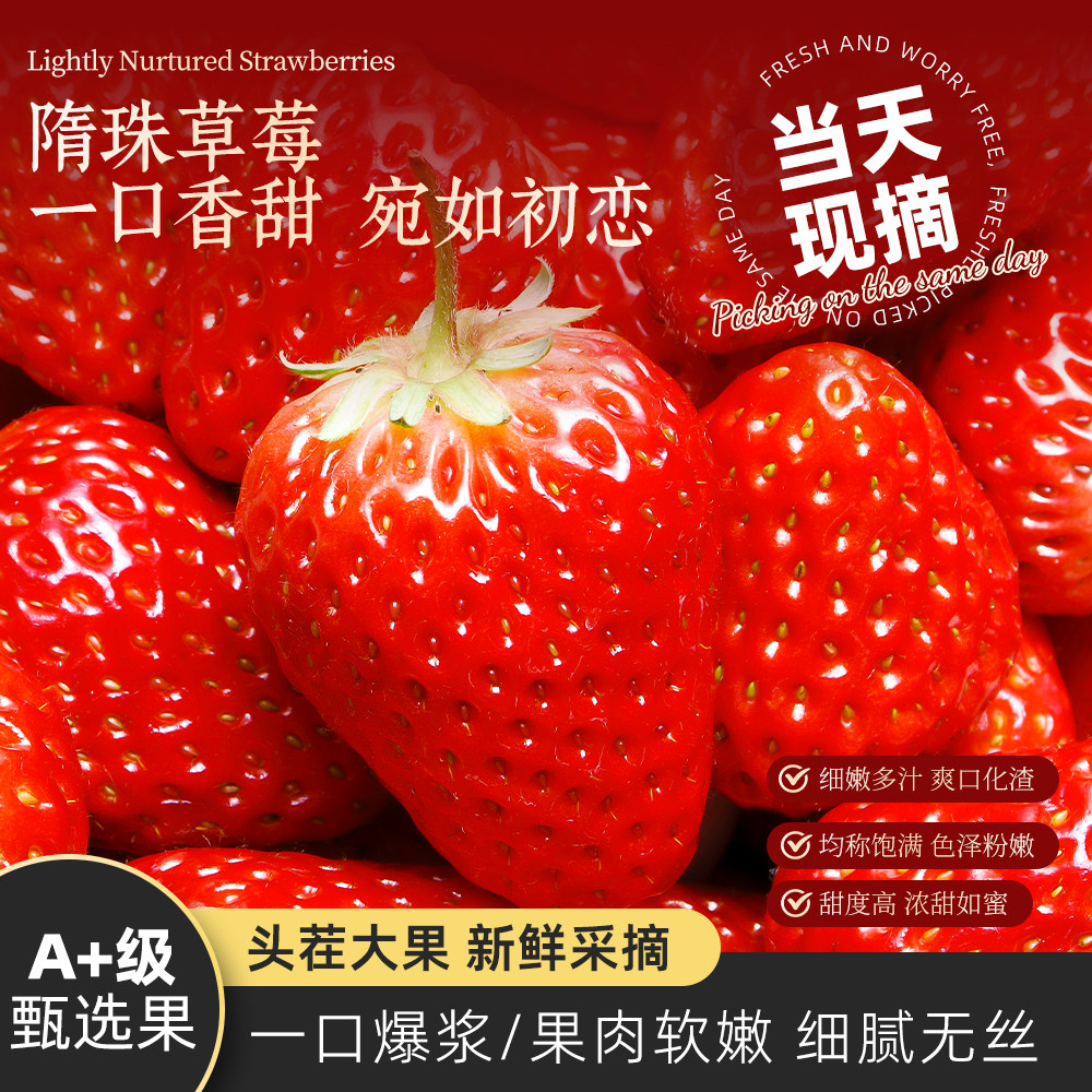 香野隋珠草莓青岛现摘大果甜度高