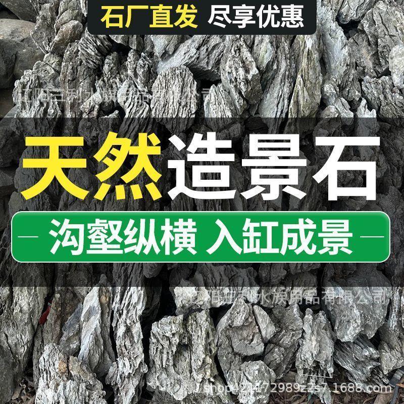 青龙石景观石溪流石鱼缸造景石盆栽真石头草缸假山小块盆景微景观