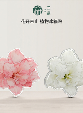芷叙原创朱顶红冰箱贴阿弗雷玫瑰花漾盆栽磁吸贴家居装饰创意礼物