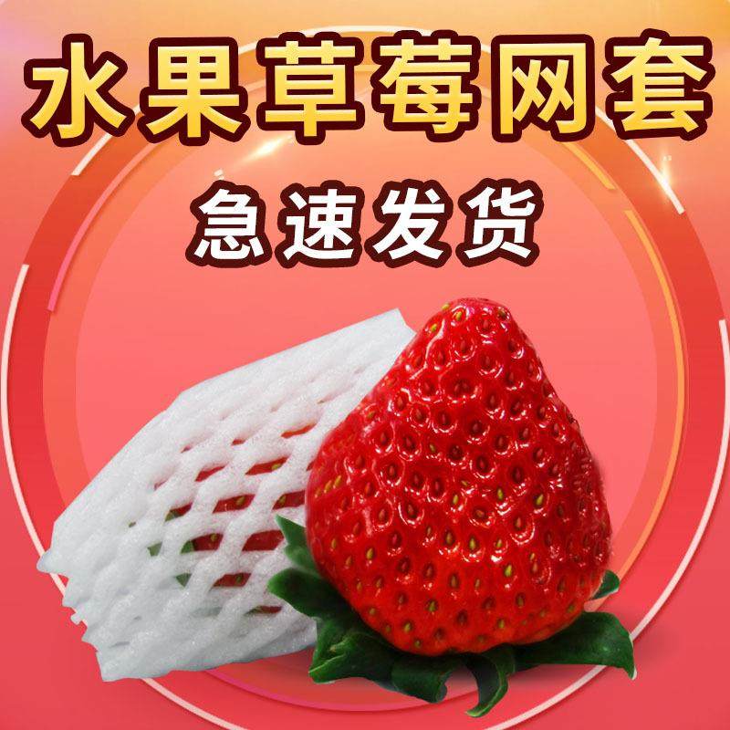 工厂直销水果网套加厚保护套杏子泡沫袋透气防磕碰发泡网草莓果套,包装,水果包装,淘宝优惠券,粉丝福利购,淘宝优惠卷