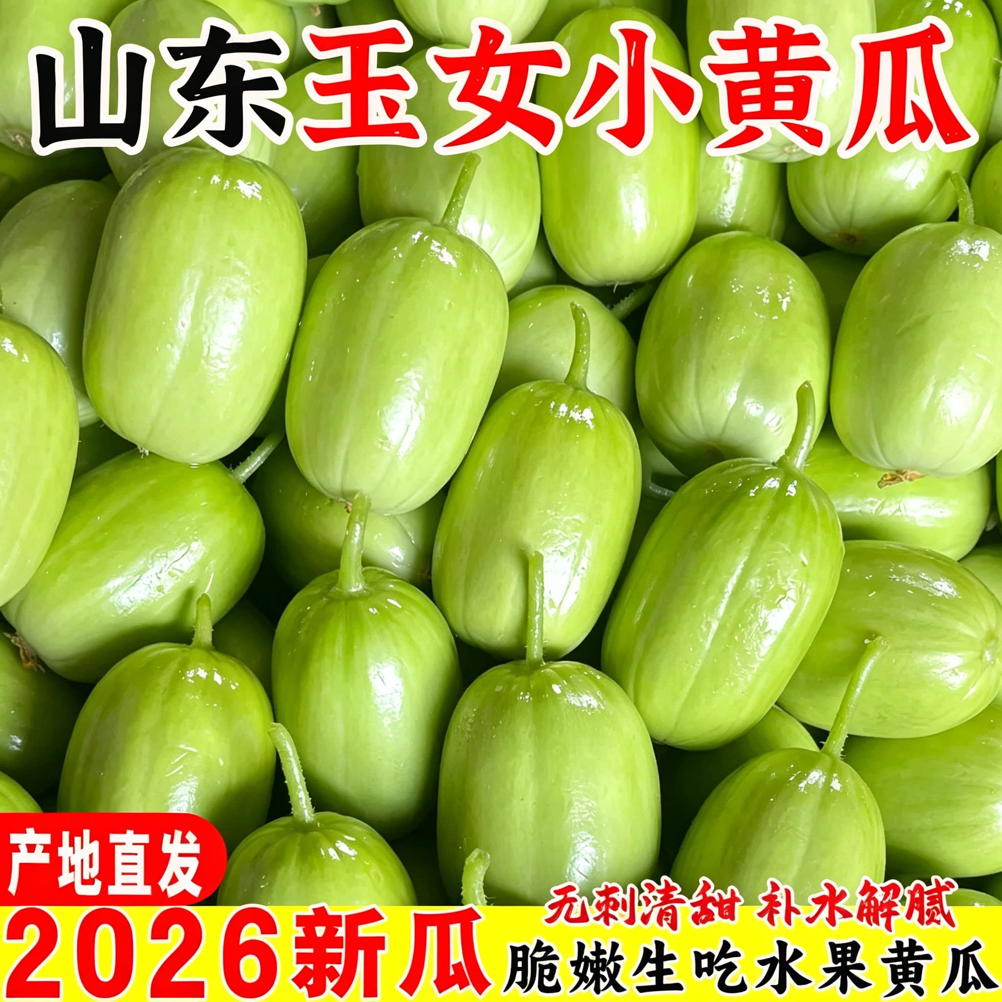 山东新鲜玉女黄瓜水果黄瓜白玉黄瓜小拇指青瓜现摘小黄瓜生吃蔬菜
