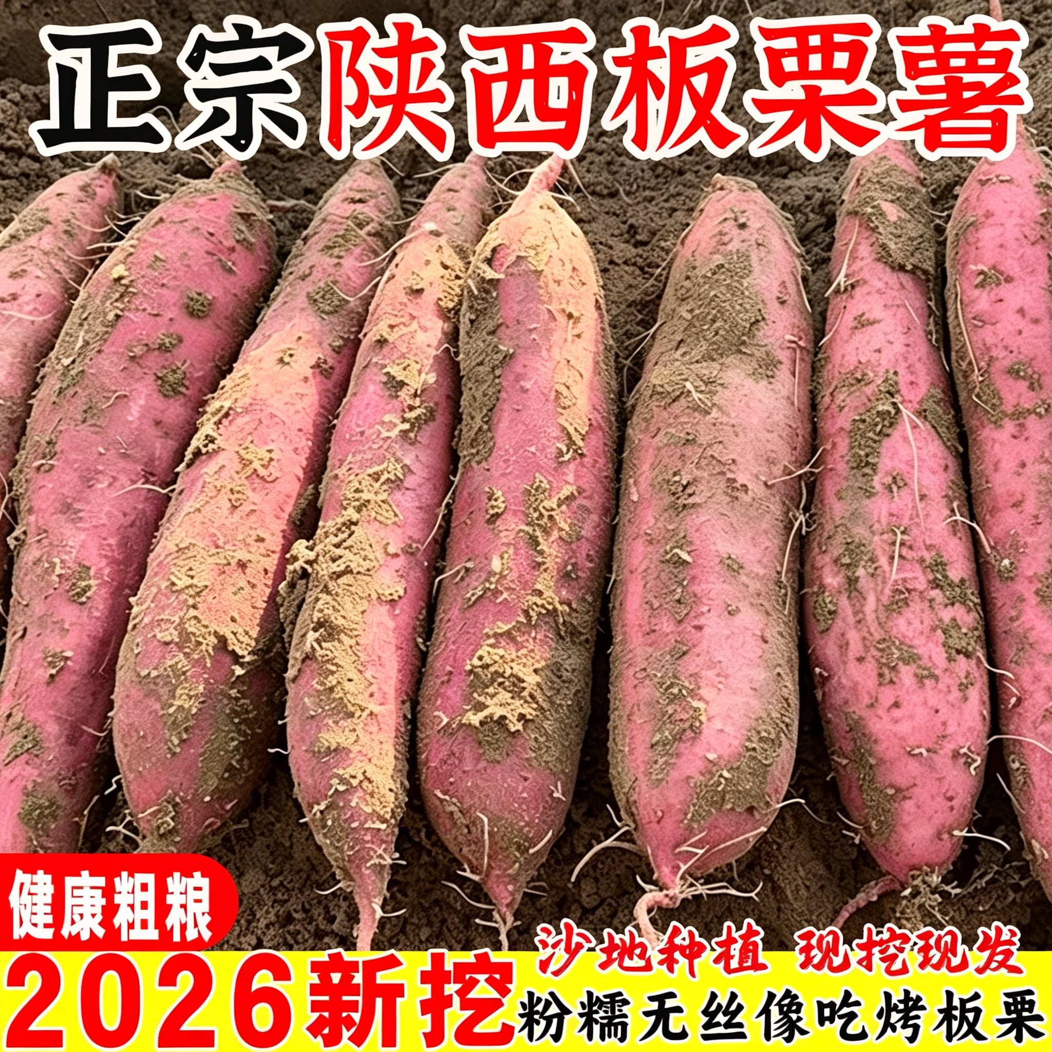 新鲜陕西板栗红薯临潼粉面现挖图片