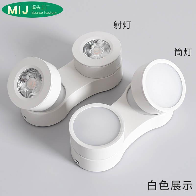 明装射灯可调角度led双头斗胆灯豆胆吸顶式免开孔筒灯无主灯照明