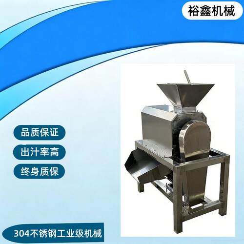 工业大型果蔬去核打浆机番石榴预感橄榄荔枝西梅不锈钢设备