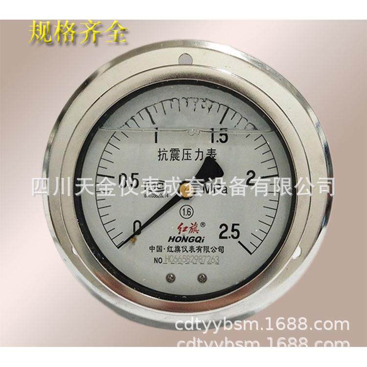 红旗轴向带边耐震压力表YN-100ZT充油防震水油压表0-1 1.6 2.5mpa,鲜花速递/花卉仿真/绿植园艺,割草机/草坪机,淘宝优惠券,粉丝福利购,淘宝优惠卷