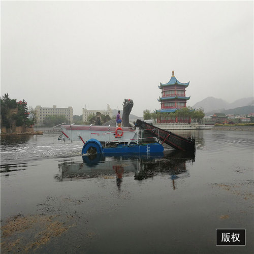 全自动割草船 水草芦苇收割船 漂浮垃圾打捞船 水面割草船设备定