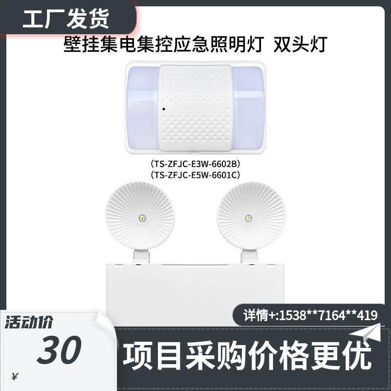 泰和安壁挂集电集控应急照明灯 双头灯6604A/6602B/6601C图片