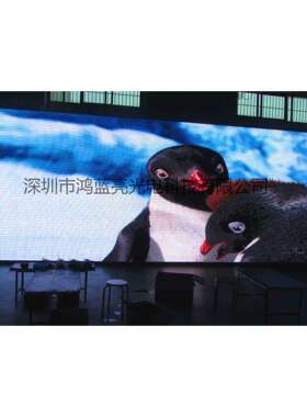 鸿蓝亮 厂家直销 室内p3全彩LED显示屏