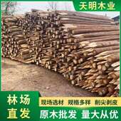 打桩木厂家供应 原木打桩木工地河堤杉木桩护坡整治木桩