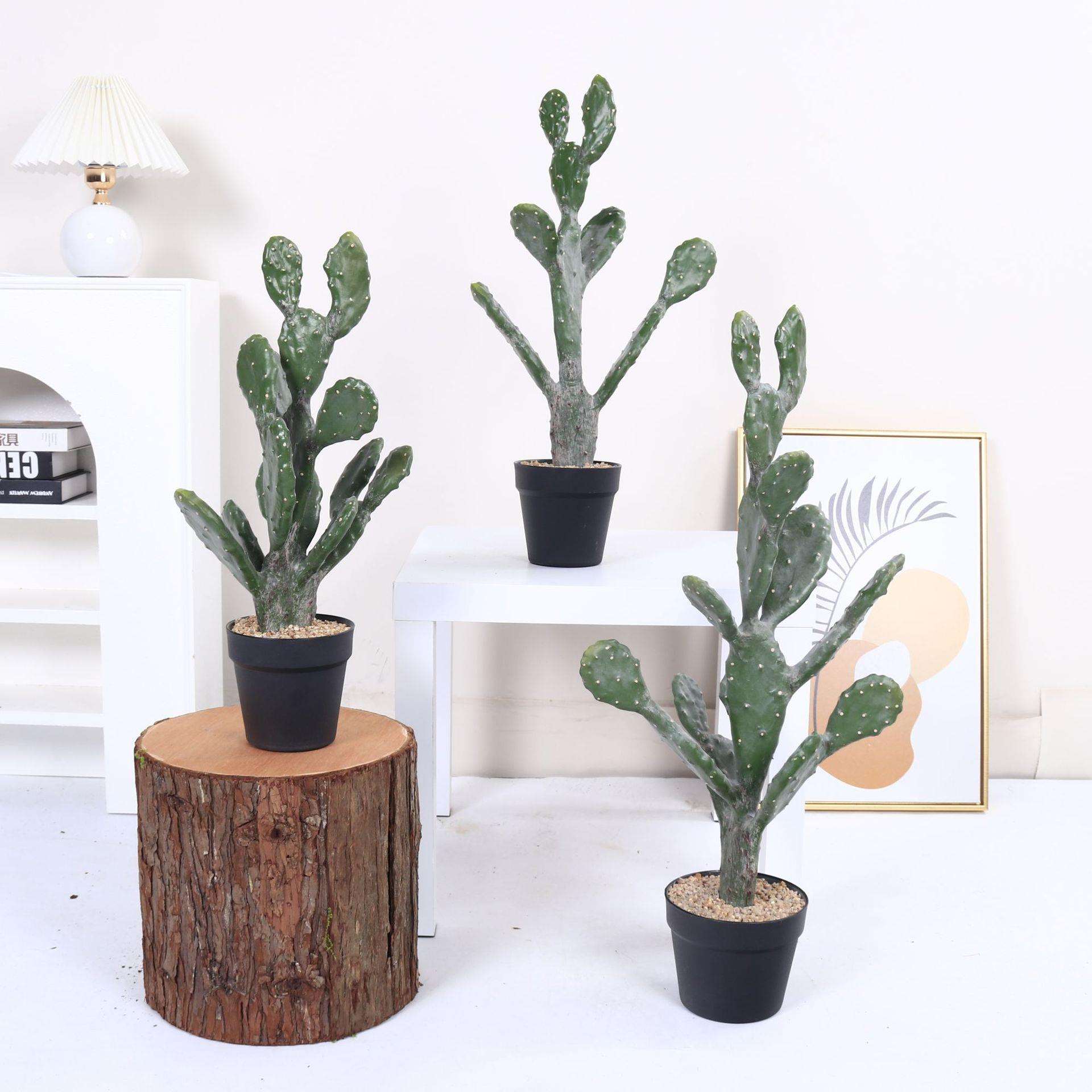 北欧风仿真莱昂仙人掌仙人柱沙漠植物盆栽摆件橱窗落地绿植盆景
