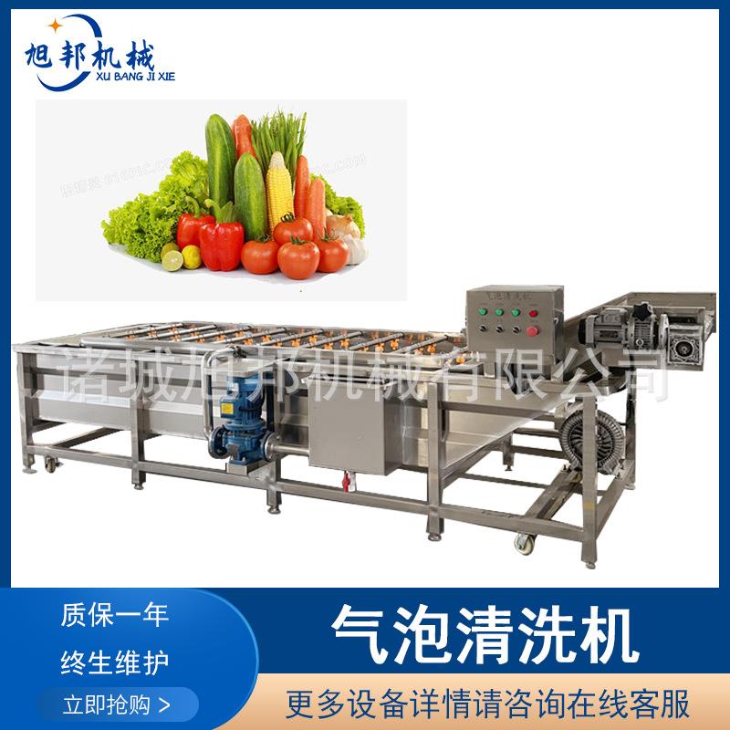 娃娃菜果蔬清洗设备 油桃鼓浪气泡清洗机 自动翻滚冲洗净菜机