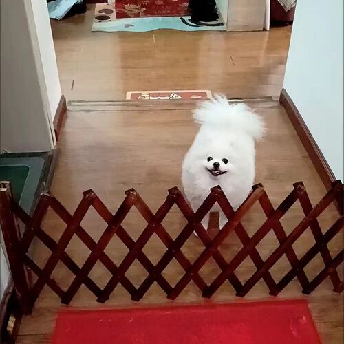 宠物围栏狗笼隔断拦狗栅栏阳台隔离门可伸缩栅栏门挡狗挡猫兔护栏