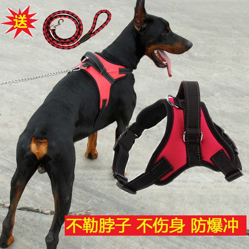 新款狗狗胸背带中大型犬金毛拉布拉多狗背心式牵引绳套装马鞍调节