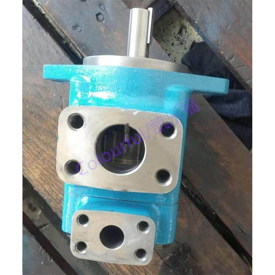 20V6A-1A22L,20V6A-1B22L价格 叶片泵厂家 压铸机油泵 注塑机油泵,标准件/零部件/工业耗材,液压泵,淘宝优惠券,粉丝福利购,淘宝优惠卷