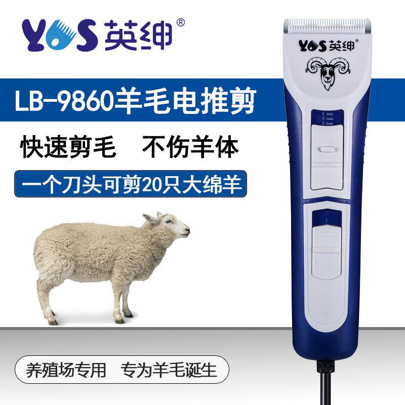 英绅厂家绒山羊电动推子大功率快速剃毛不伤羊可调羊毛剪电动专用