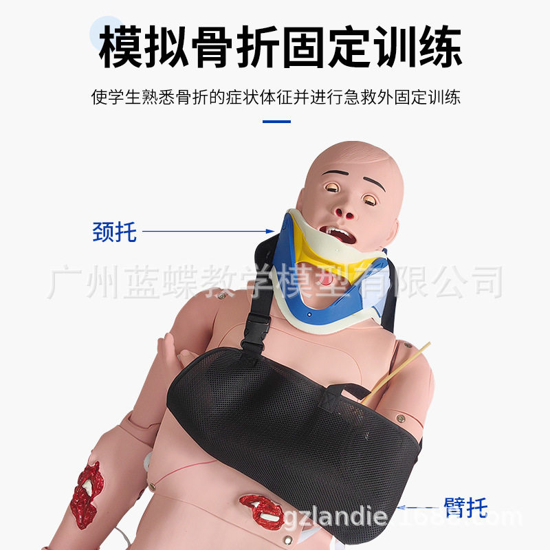 闭合式四肢骨折固定训练模型 带颈托创伤护理脊柱损伤搬运模拟人