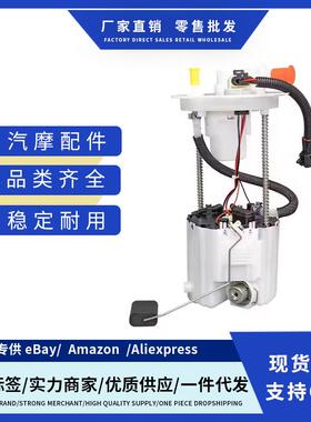 1293420,1106100-FK03汽车燃油泵总成适用Dongfeng Scenery S560