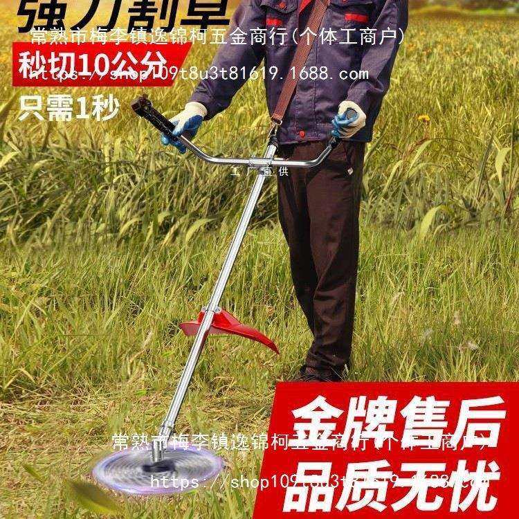 割草机四冲程背负式多功能农用收割除草家用小型多功能汽油打草机,鲜花速递/花卉仿真/绿植园艺,割草机/草坪机,淘宝优惠券,粉丝福利购,淘宝优惠卷