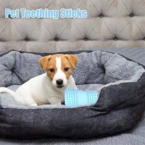Dog Teething Toys Safe Dog Nibble Toy Tpr Teeth Grinding