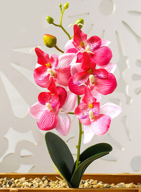 Real Touch Mini Small Orchid Artificial Flower Branch Fake P