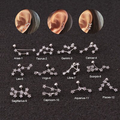 New Stainless Steel Twelve Constellation Ear Piercing Jewelr
