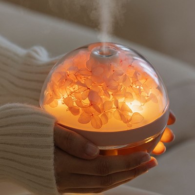 Eternal Flower  Humidifier 繁花 加湿器 氛围夜灯 2in1设计