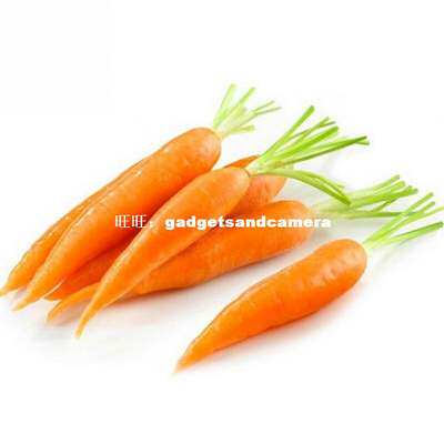 200PCS/bag 2 bags carrot seeds fealthy garden vegetable non