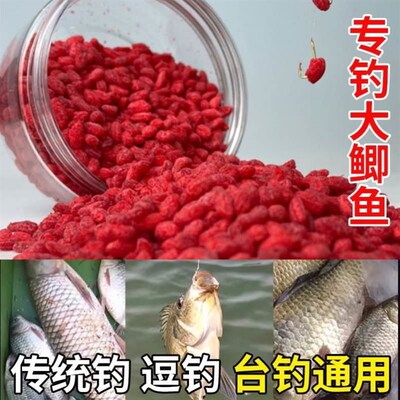 Fishing Shake Rice III Taihong II Enhanced Edition Big Carp