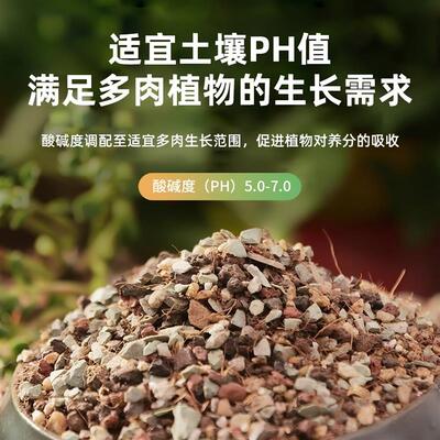 Succulent Soil Granular Mix Potting Soil Peat Pebbles