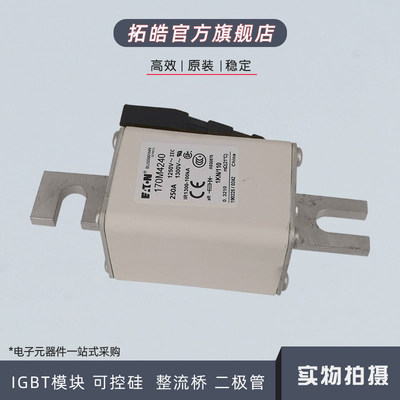 170M4258/963熔断器保险