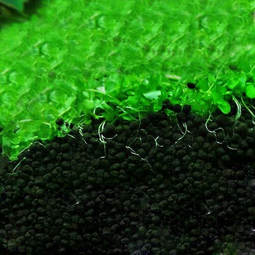 Sand Aquarium Fertilizer Aquarium Substrate Aquatic Float Gr