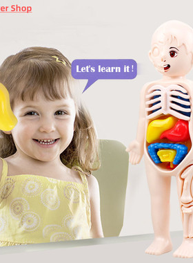 Kid Montessori 3D Puzzle Human Body Anatomy Model Educationa