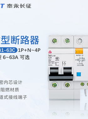 TYT泰永长征长九MB1L-3C型漏电保护器家用空气开关带漏电保护1